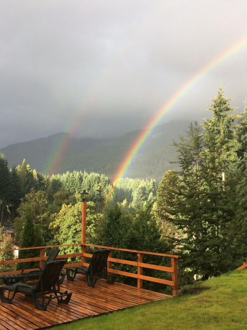 HOSTERIA VERDE MORADA (6)