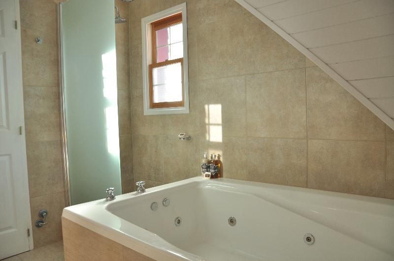 HOSTERIA VERDE MORADA (15)