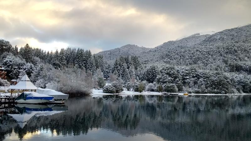 HOSTERIA VERDE MORADA (20)