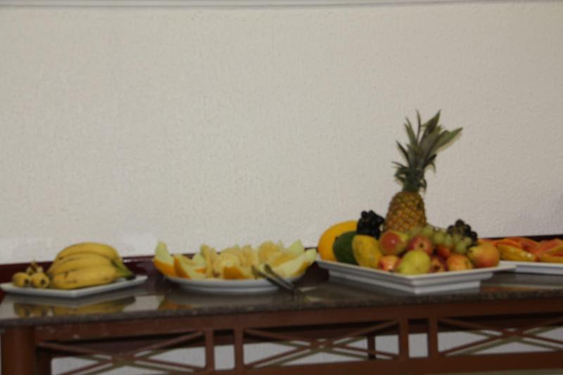 Hotel Ipe (20)