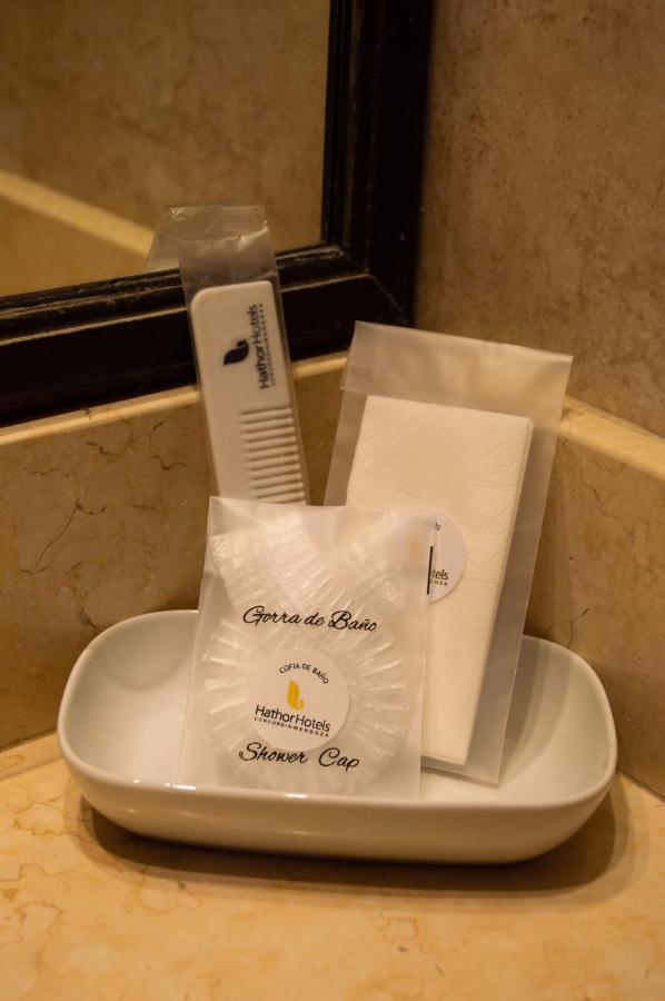 Hathor Concordia (12)