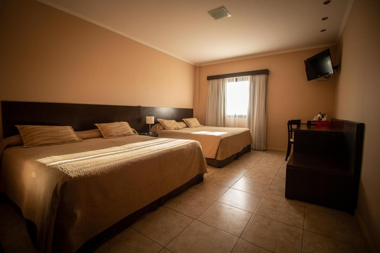 Hathor Concordia (16)