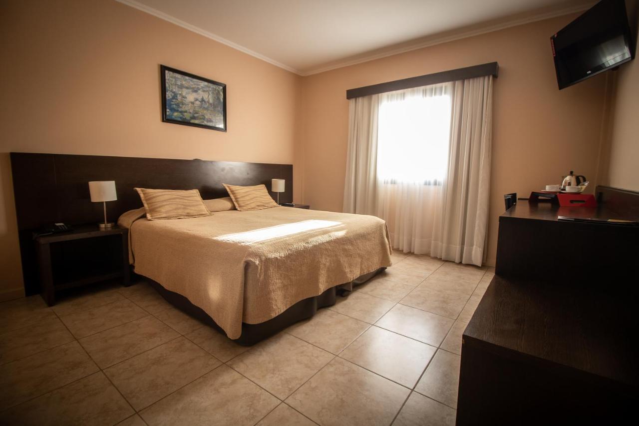 Hathor Concordia (18)