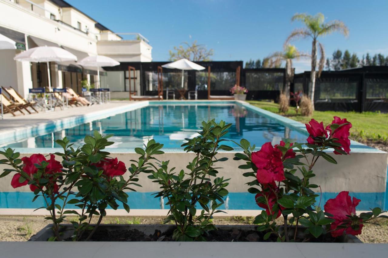 Hathor Concordia (27)