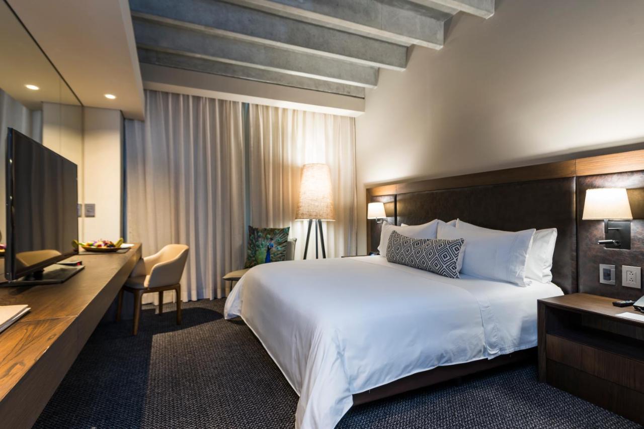 Movich Hotel Las Lomas (4)