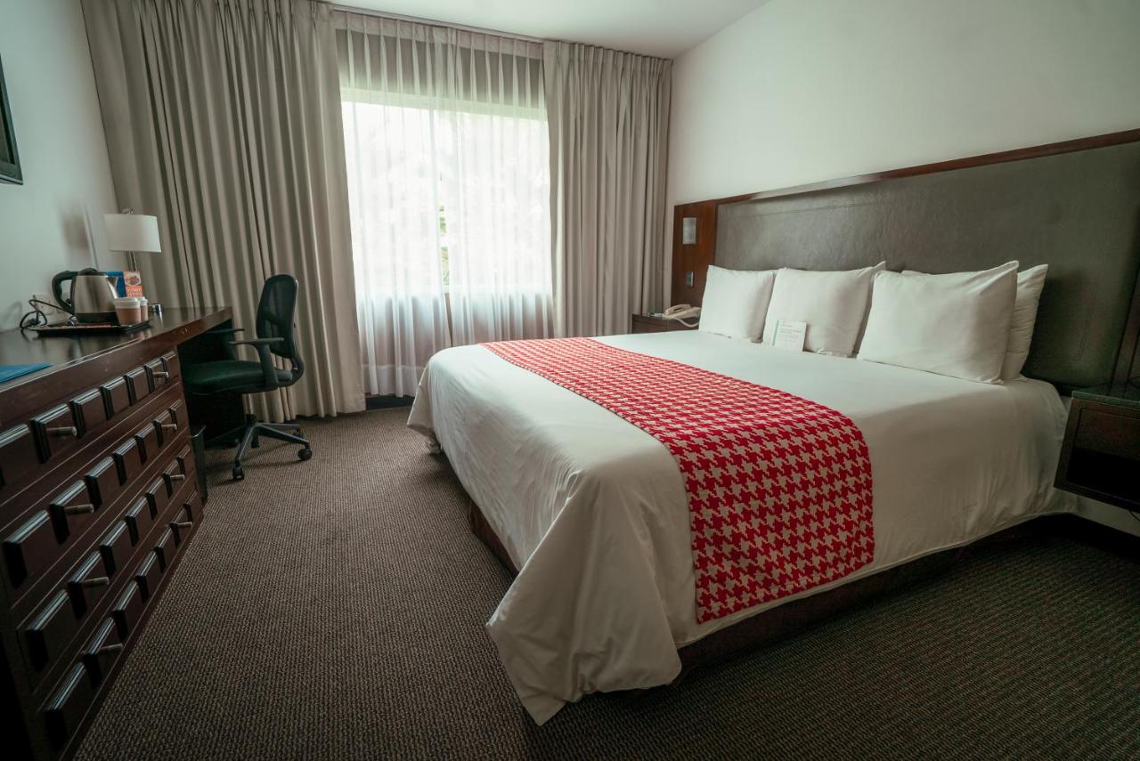 Costa del Sol Wyndham Trujillo Golf (6)