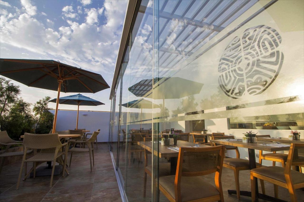 Tierra Viva Miraflores Mendiburu (6)