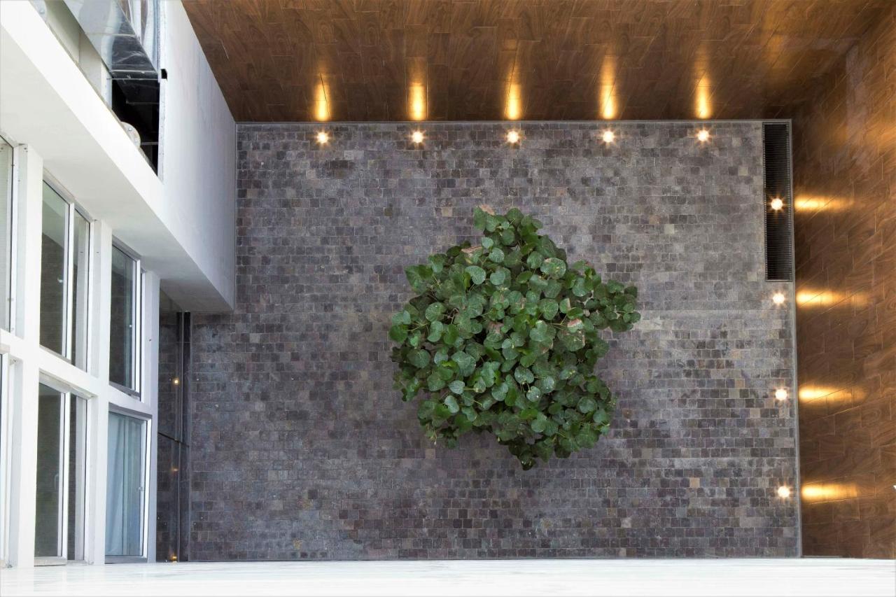 Tierra Viva Miraflores Mendiburu (8)