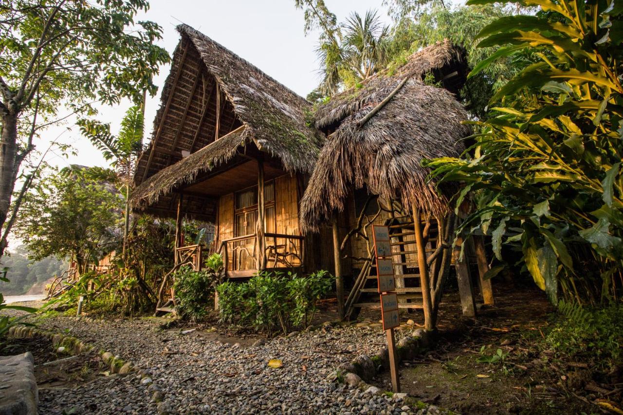 Selina Amazon Tena (30)