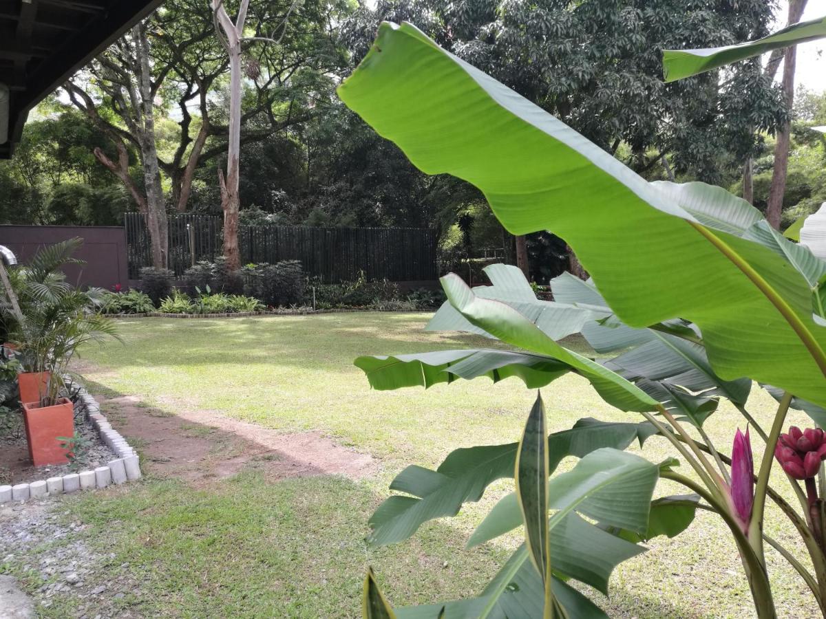 Café Hotel Medellín (17)