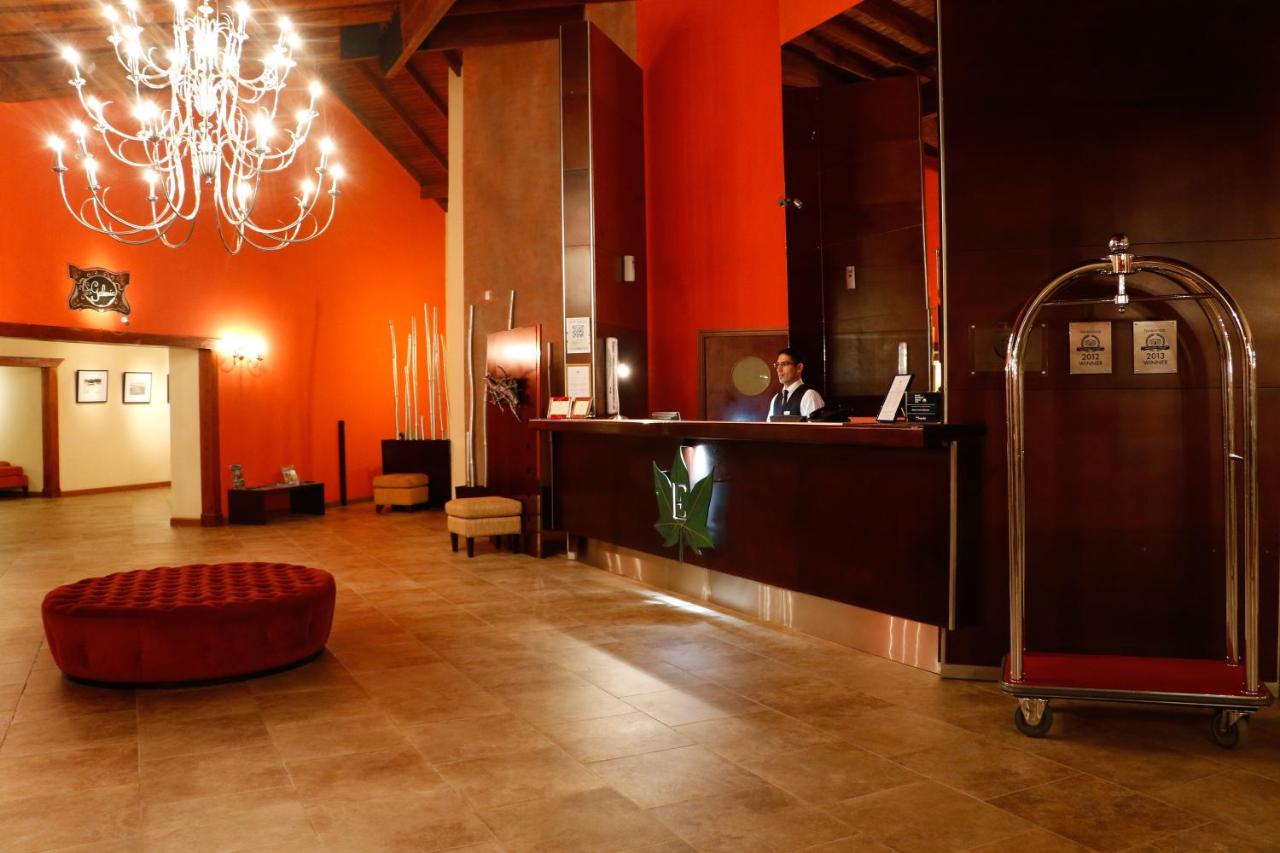 Edenia Punta Soberana (13)