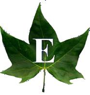 Edenia Punta Soberana (42)