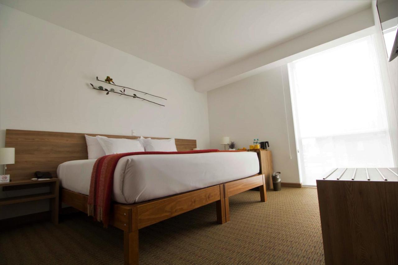 Tierra Viva Miraflores Centro (2)