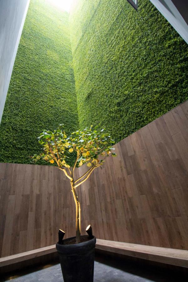 Tierra Viva Miraflores Centro (10)