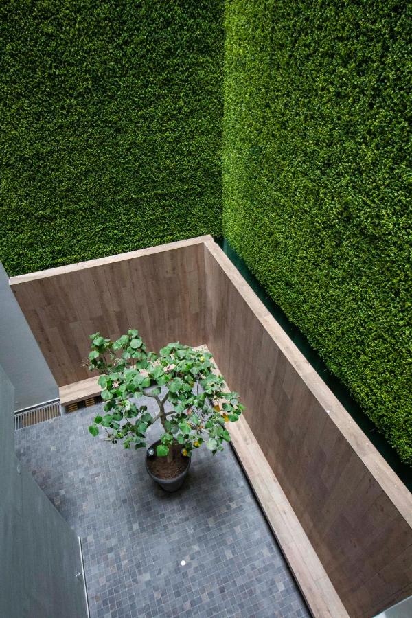 Tierra Viva Miraflores Centro (12)