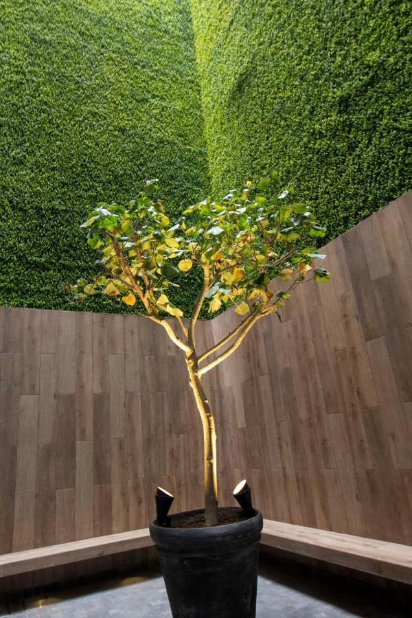 Tierra Viva Miraflores Centro (17)