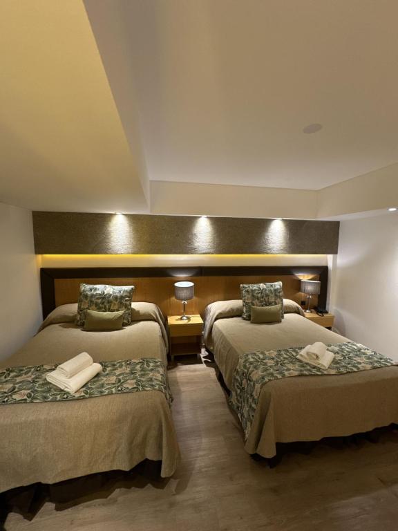 Hotel Tronador (14)
