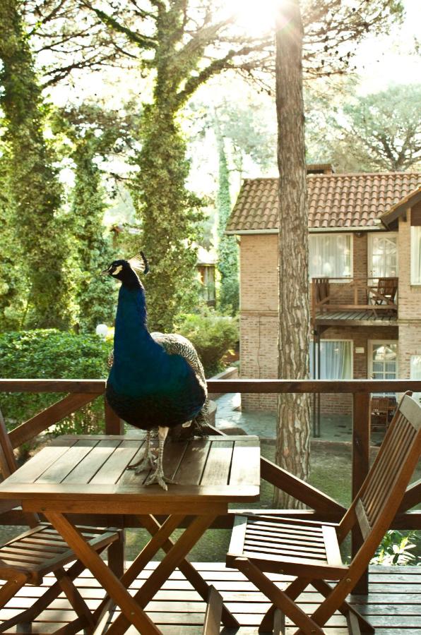 Carilo Village Apart Hotel & Spa (18)