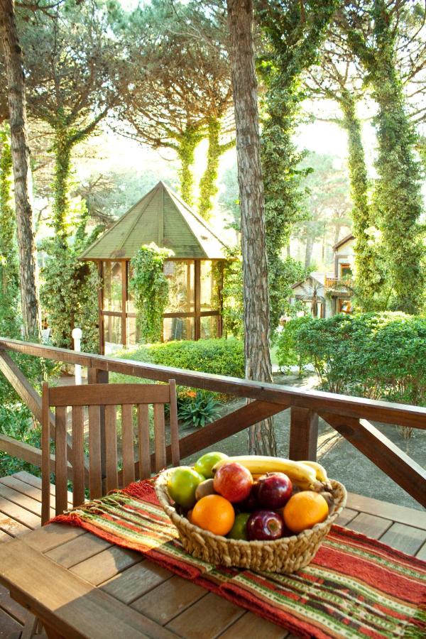 Carilo Village Apart Hotel & Spa (19)