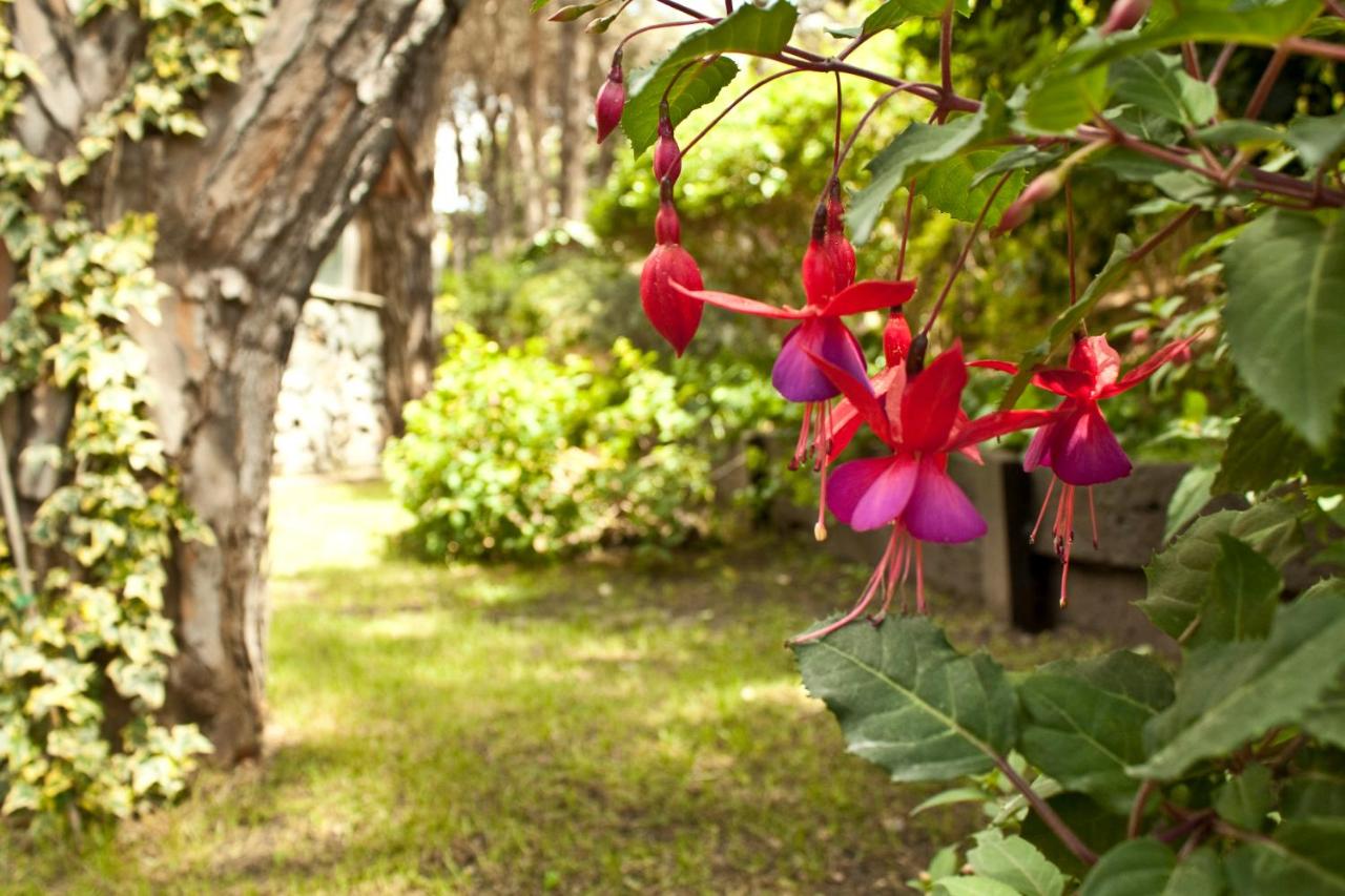 Carilo Village Apart Hotel & Spa (20)