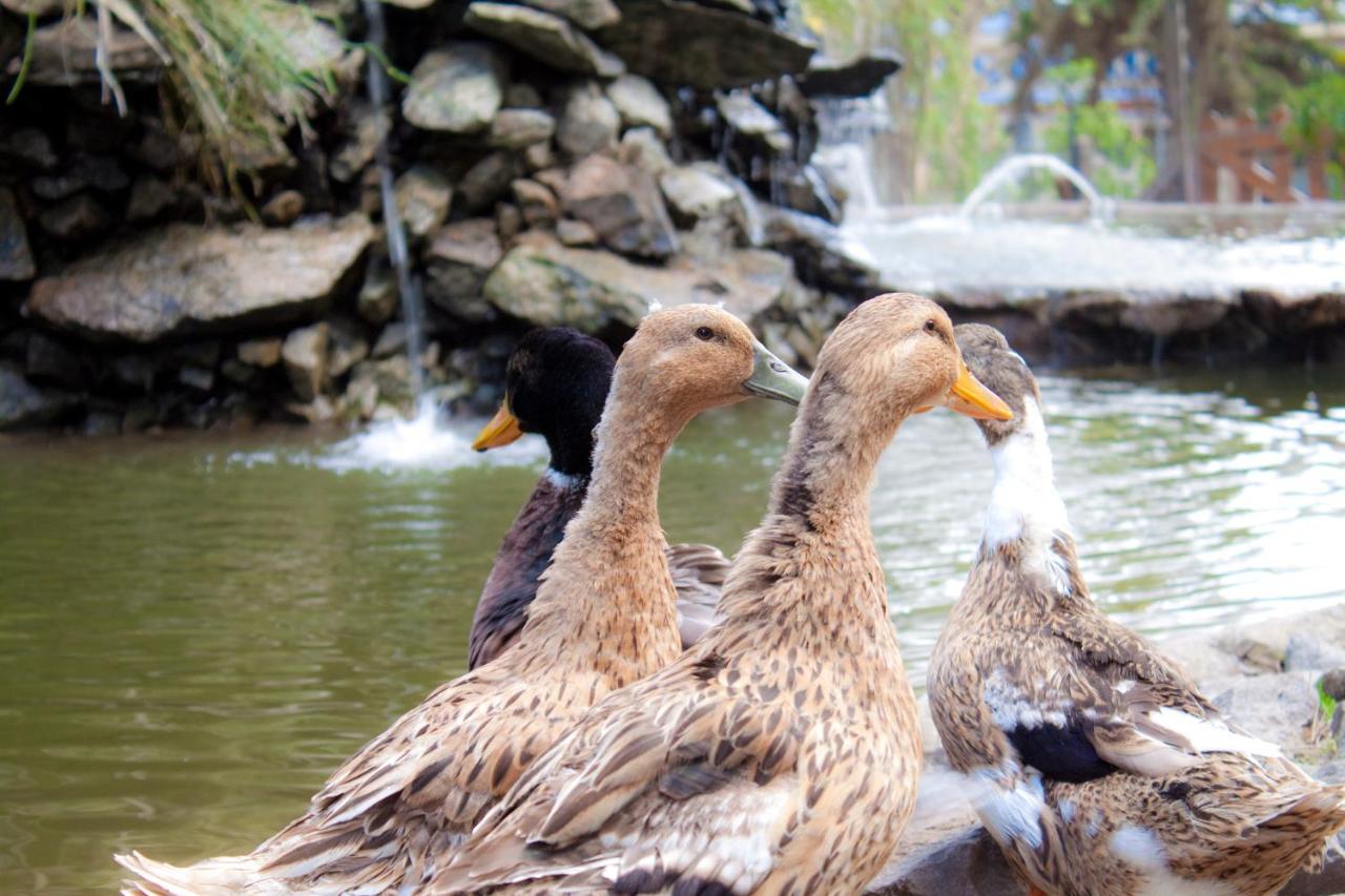 Carilo Village Apart Hotel & Spa (24)