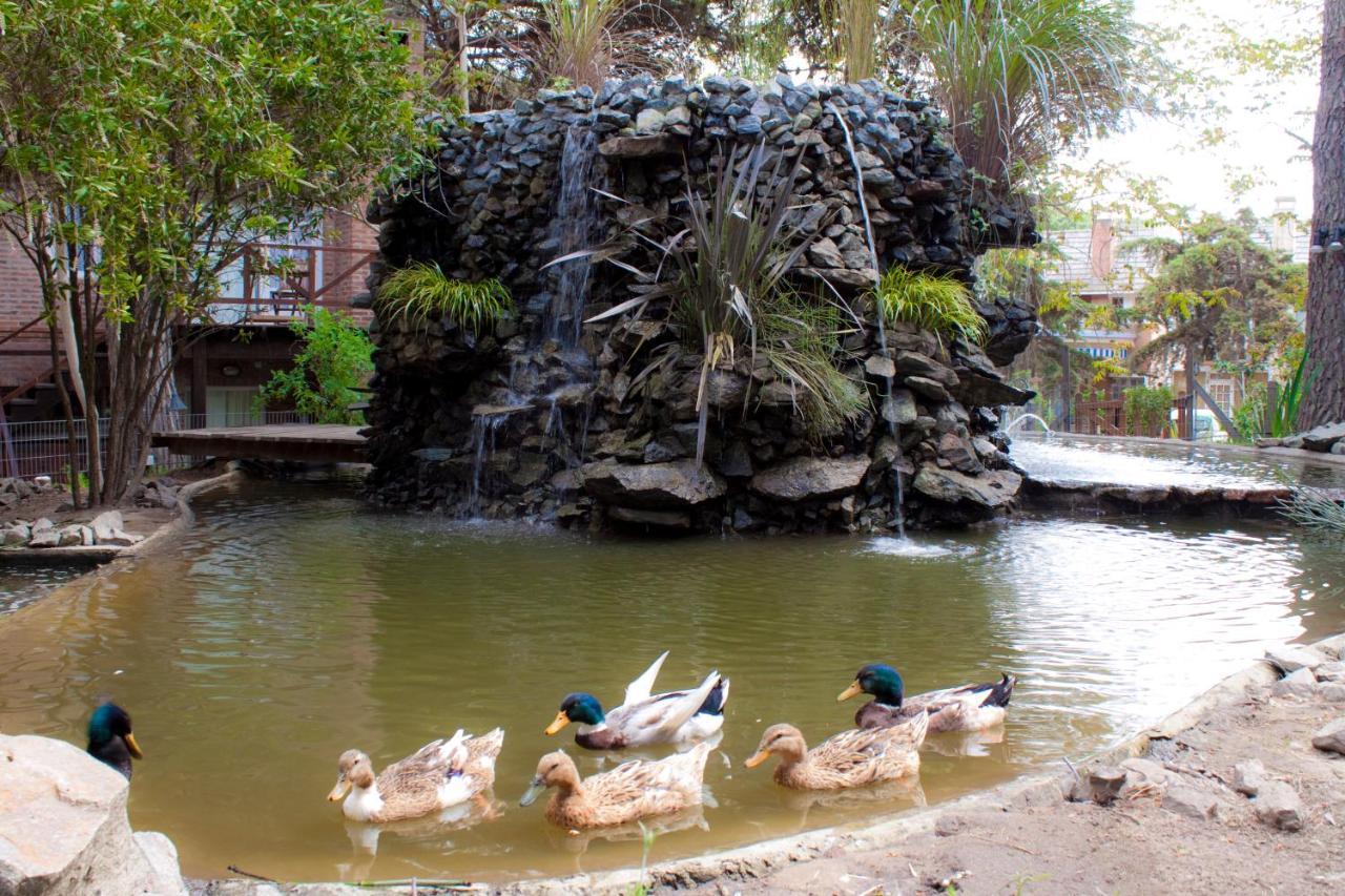 Carilo Village Apart Hotel & Spa (26)