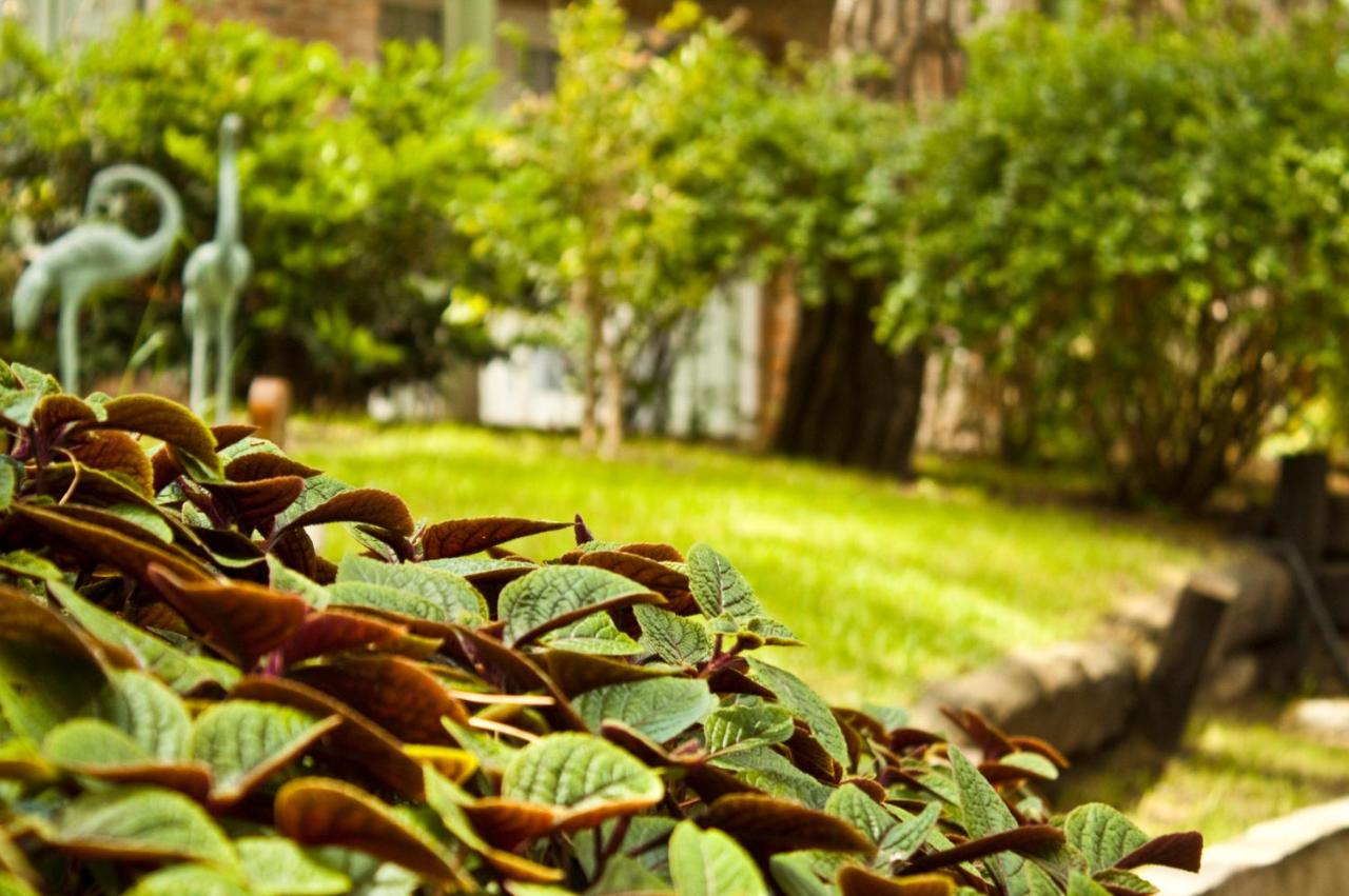 Carilo Village Apart Hotel & Spa (27)