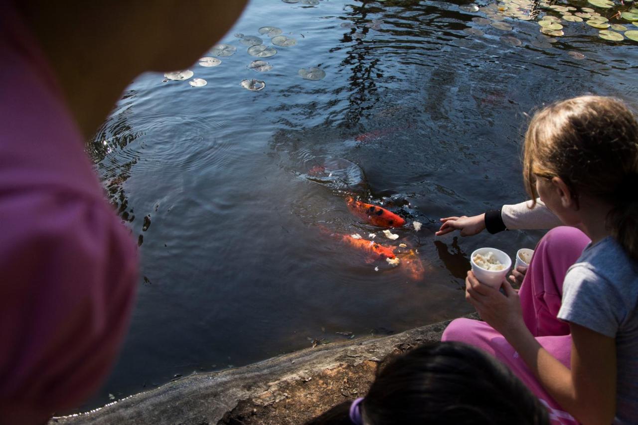 Iguazú Grand Resort Spa & Casino (24)