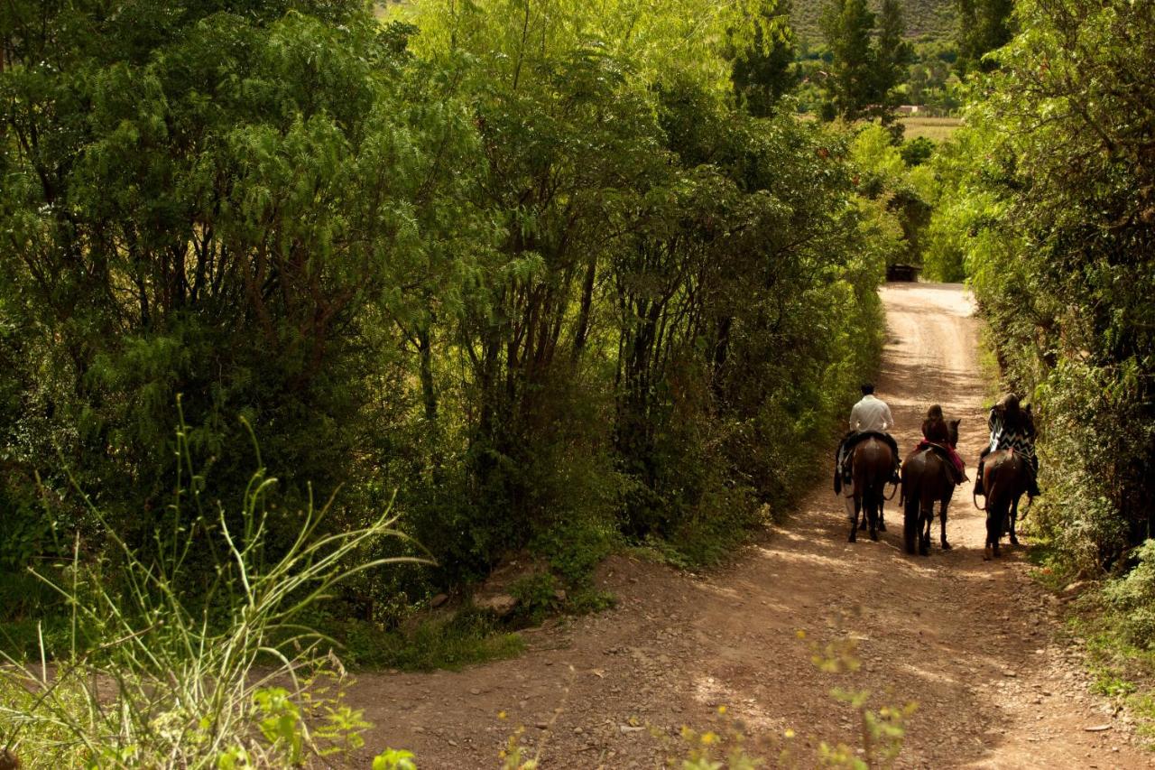 Aranwa Sacred Valley Hotel & Wellness (20)