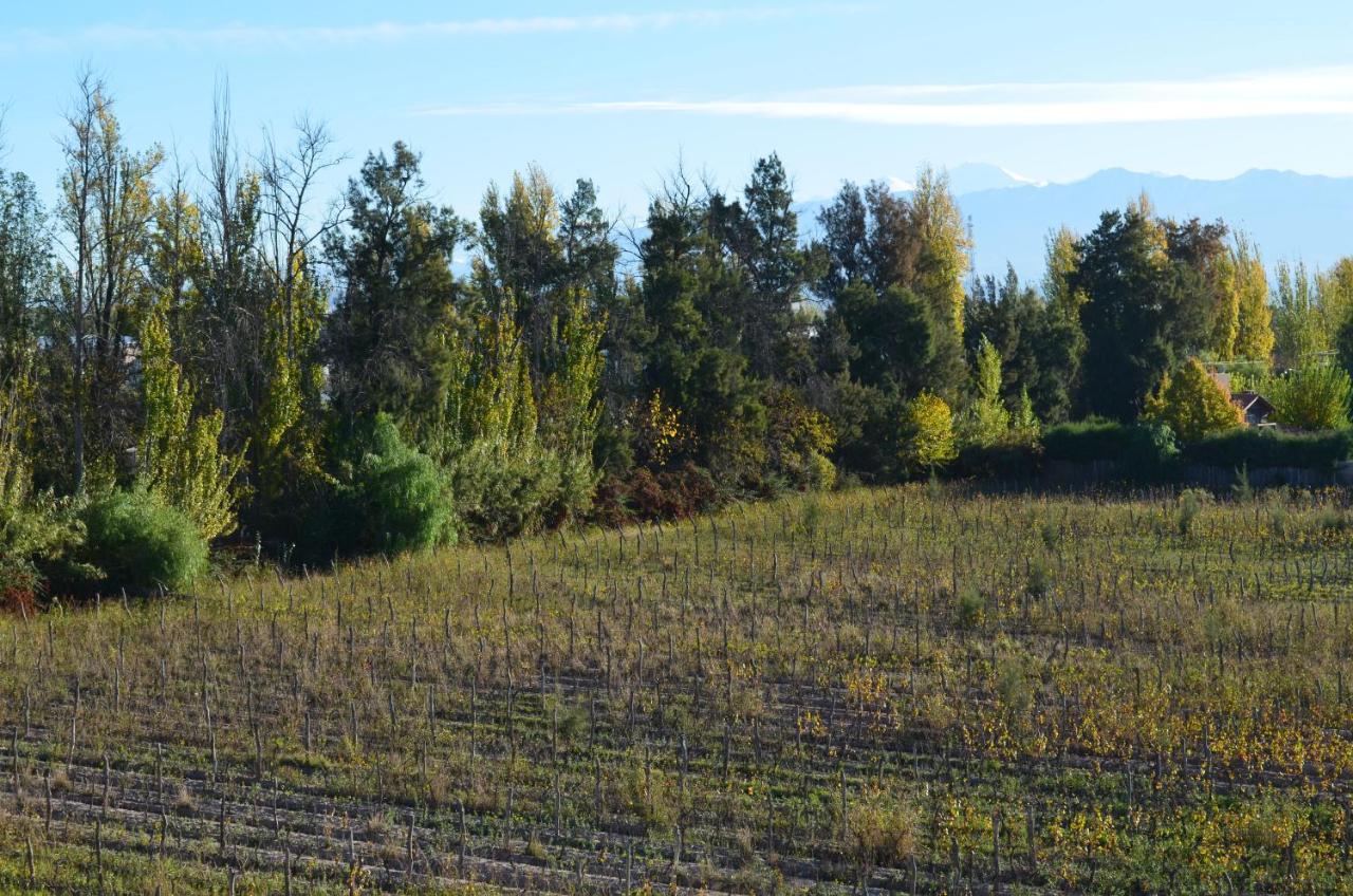 Hotel Finca Hermitage