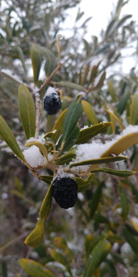 casArtero eco posada - Only Adults (7)