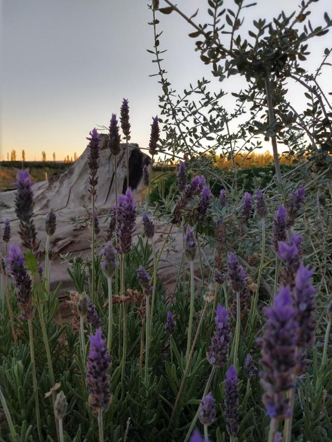 casArtero eco posada - Only Adults (24)