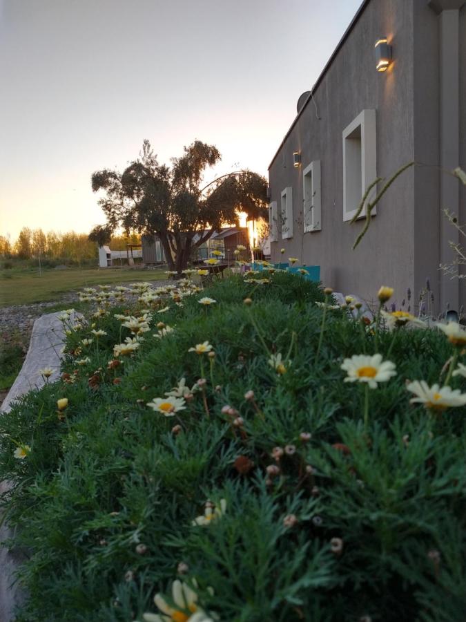 casArtero eco posada - Only Adults (25)