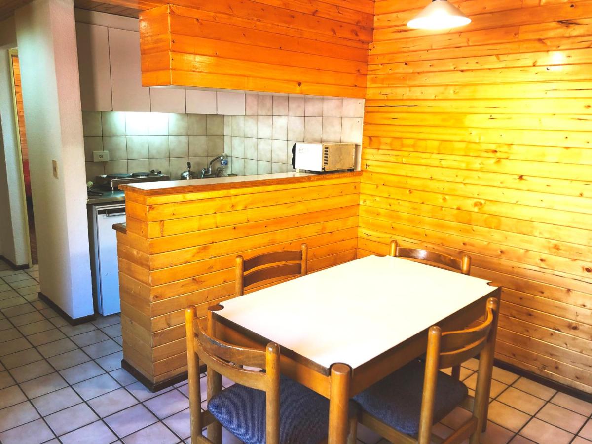 Apartur Las Leñas (19)