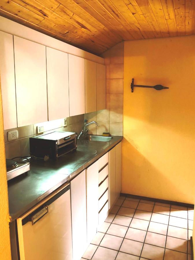 Apartur Las Leñas (22)