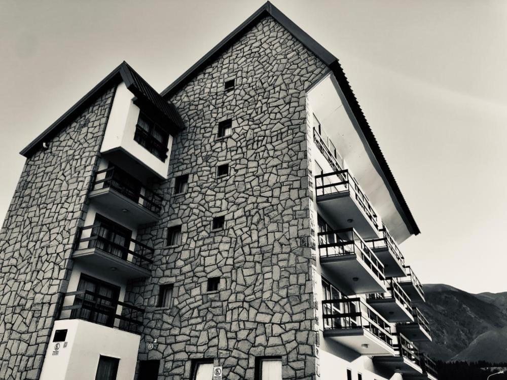 Apartur Las Leñas (23)