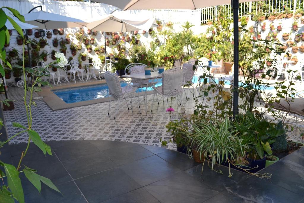 Vendimia Boutique (10)