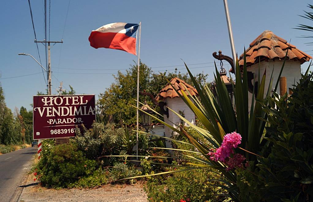 Vendimia Parador (3)