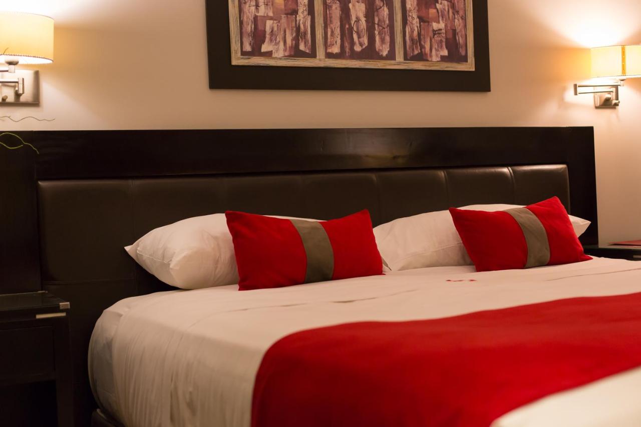 Alto Andino Hotel (18)