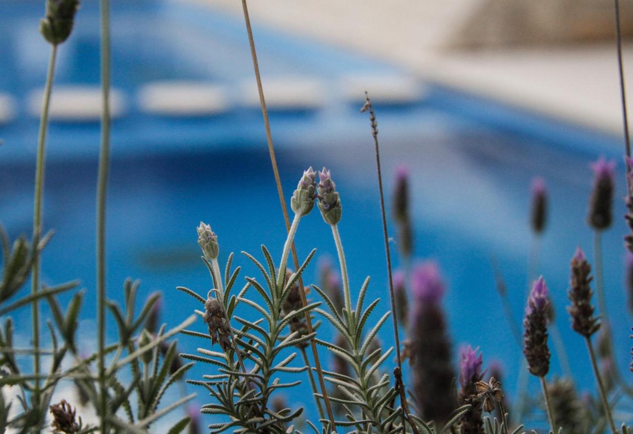 Apart Hotel Carilo Hills (20)