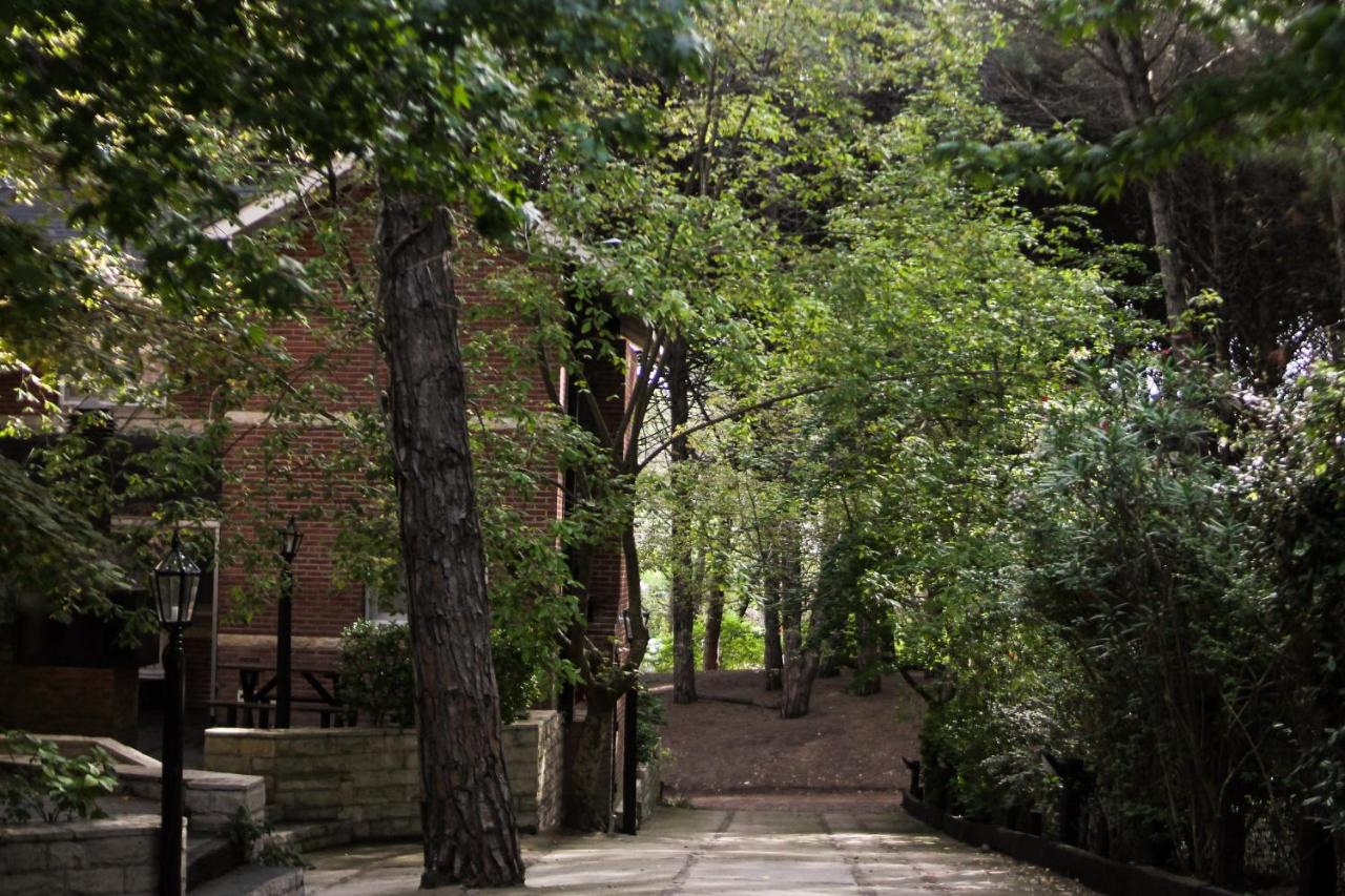 Apart Hotel Carilo Hills (22)