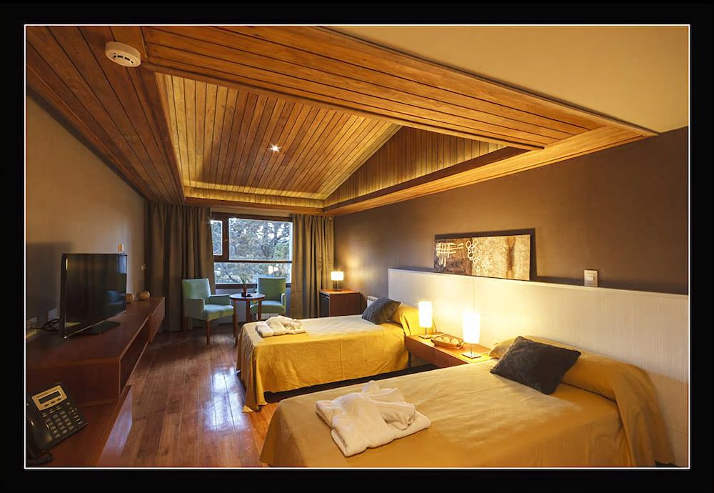 Bosque del Nahuel (4)