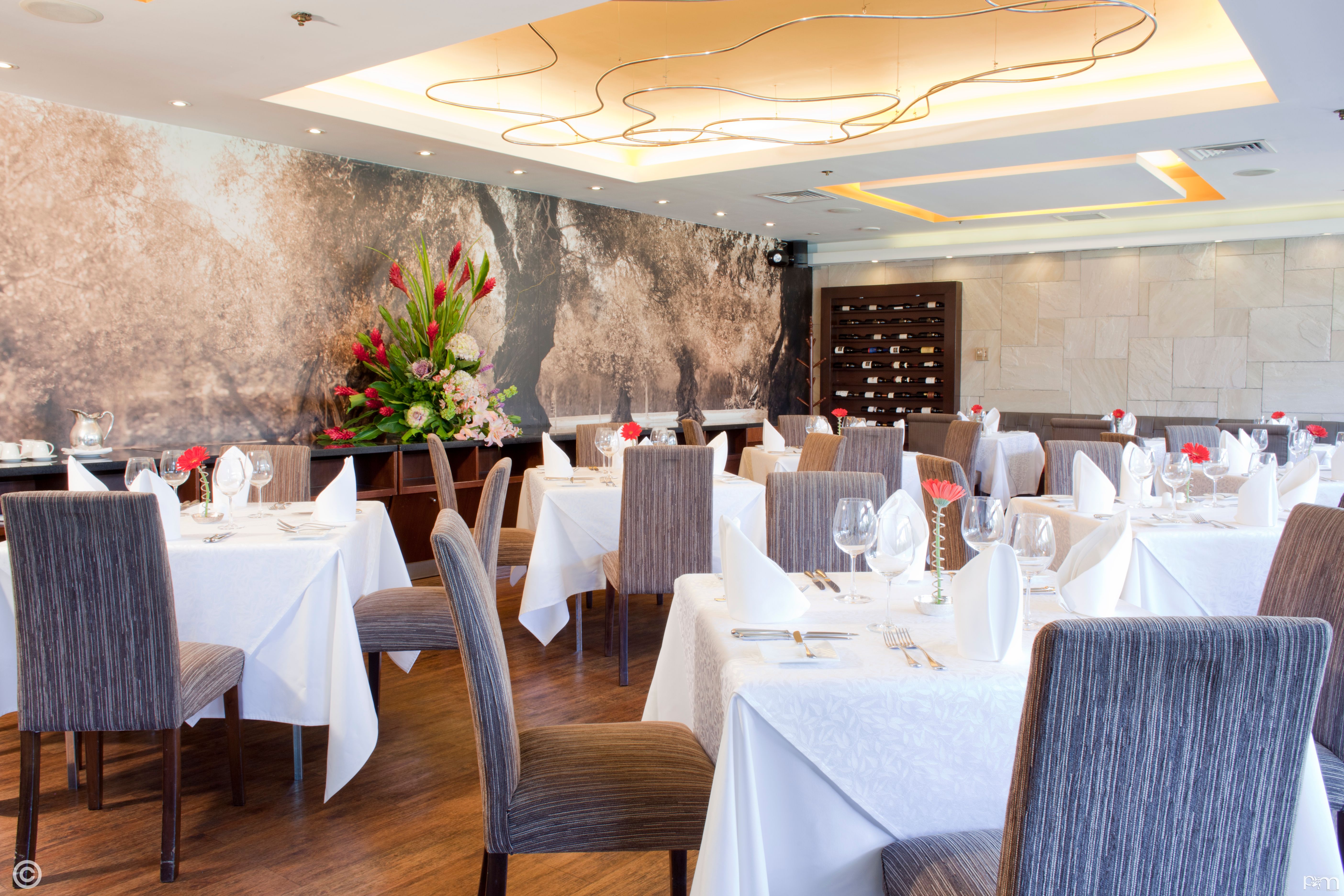 Sonesta Hotel El Olivar (3)