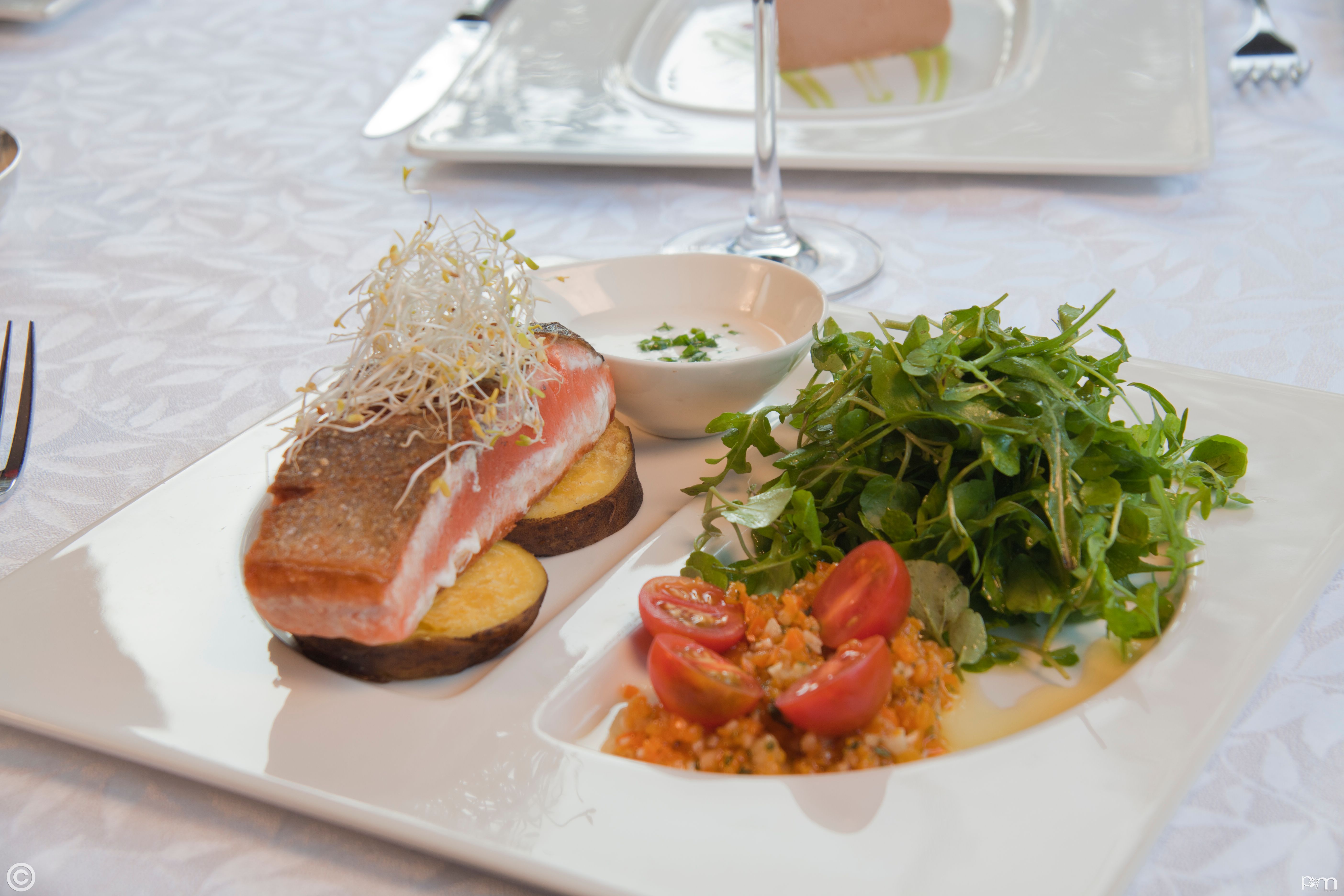 Sonesta Hotel El Olivar (8)