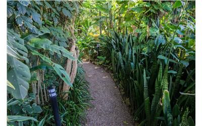 Pousada Verde Natur (5)