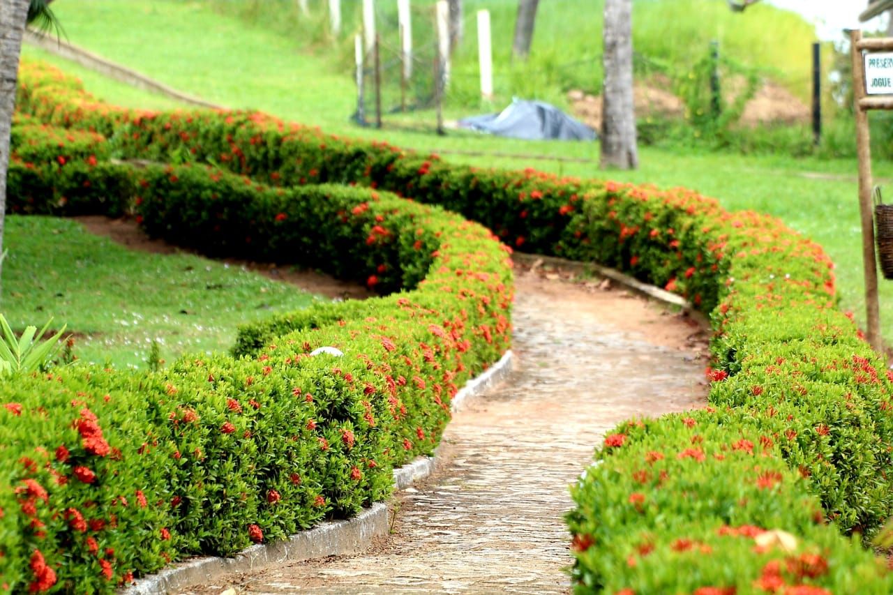 Hotel Marinas - Tibau do Sul (9)