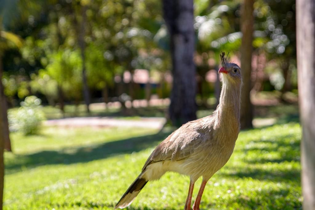 Araras Hotel Rural (7)