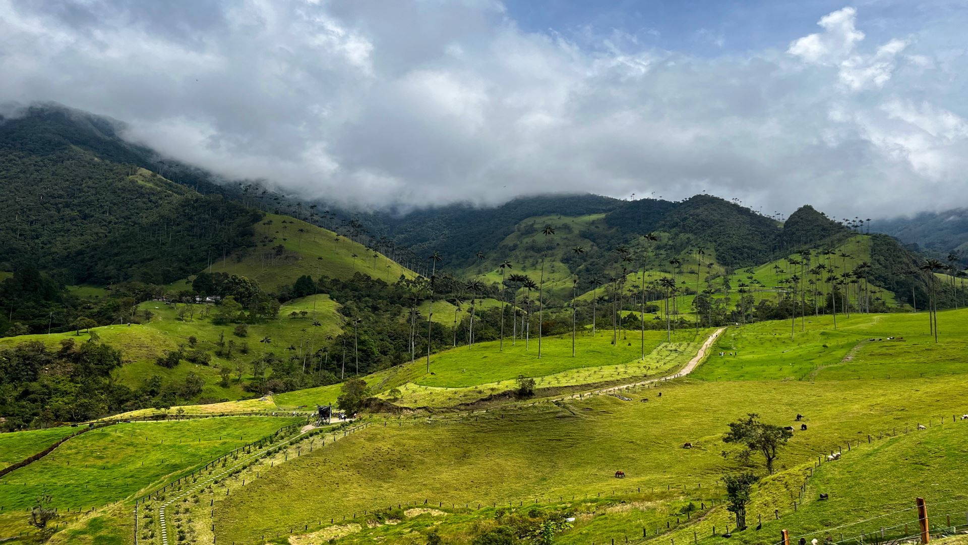 3 Maneiras De Explorar A Região Cafeeira A Partir De Salento