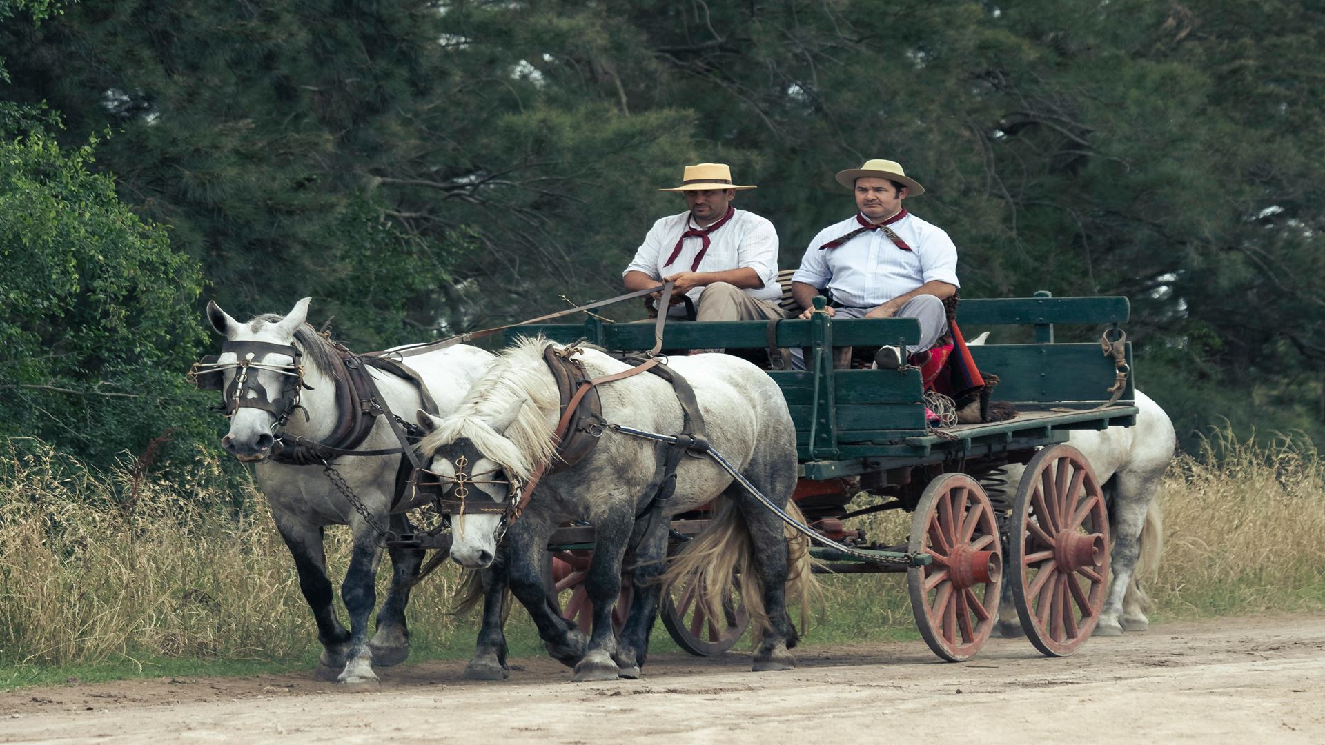 Horseback Riding And A Day In The Countryside In Buenos Aires: The 5 Best Ranches