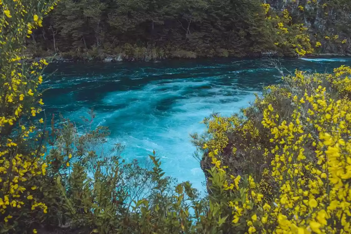 Cómo hacer una excursión en Saltos de Petrohué desde Puerto Varas